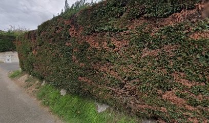 Laura Chauvin Ostéopathe, Ostéopathe à La Colle-sur-Loup
