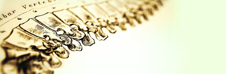 Clément DARAGON Ostéopathe Saint-Mars-la-Brière, Ostéopathe à Saint-Mars-la-Brière