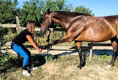 Marine Martinon - Ostéopathe Animalier - Equi Essentiel, Ostéopathe au Cailar