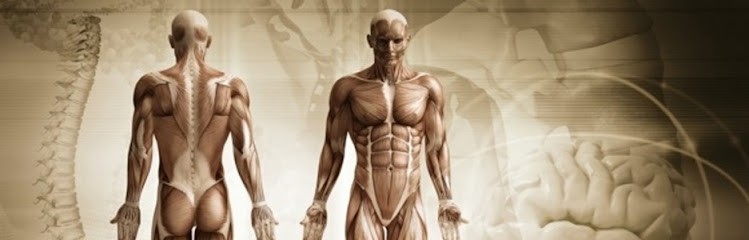 Sabrina Alloul - Ostéopathe, Ostéopathe au Raincy