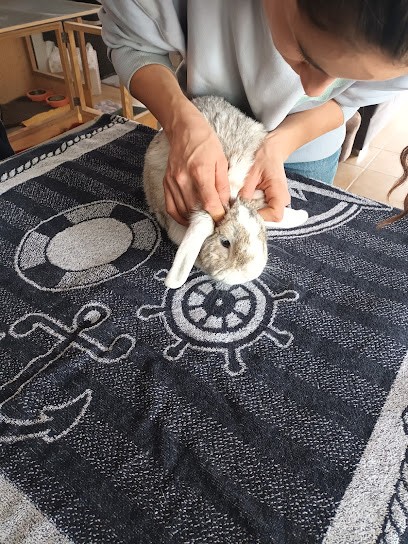 Anais Frey Ostéopathe - Tence, Ostéopathe à Tence