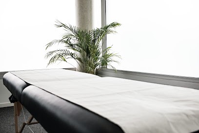 Nicolas Guibert, Ostéopathe à Bruges