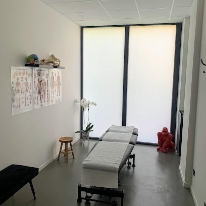 Hamza HELIMI Ostéopathe D.O., Ostéopathe à Saint-Louis