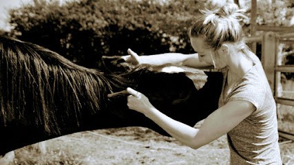 Ostéopathe Animalier - Maëlys Schmitz, Ostéopathe à Lourties-Monbrun
