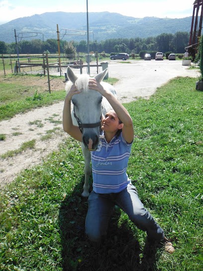 Strippoli Vanessa - Ostéopathe Animalier (équin, Canin) Et Physiothérapeute équin Grenoble (Isère)/Chambéry (Savoie), Ostéopathe à Montbonnot-Saint-Martin