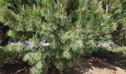 Tristan De Villèle Ostéopathe, Ostéopathe à Saint-Georges-d'Oléron