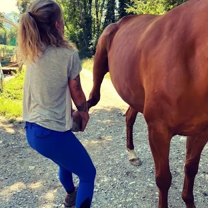 Clara Humbert Ostéopathe Animalier, Ostéopathe à Veigy-Foncenex