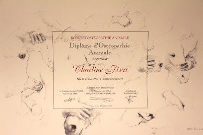 Charline FEVRE Ostéopathe Animalier - Région PACA, Ostéopathe au Thor