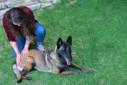 Pauline GAUDY Ostéopathe Animalier, Ostéopathe à Saint-Pourçain-sur-Sioule