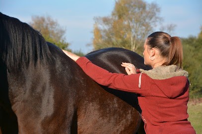 Agnès Beaufils - Ostéopathe Pour Animaux Et Vétérinaire Sur Nantes Et Sa Région, Ostéopathe à Saint-Sébastien-sur-Loire