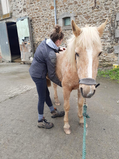 Chloé Chalmeau - Ostéopathe Pour Animaux Ostéopathe à Méral