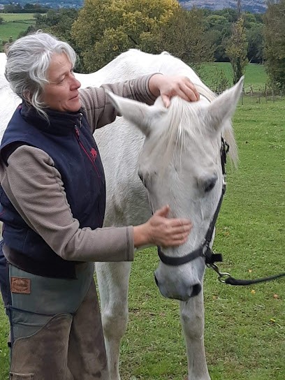 OSTÉOPAT'ANIMALS, Ostéopathe à Saint-Thomas-de-Conac