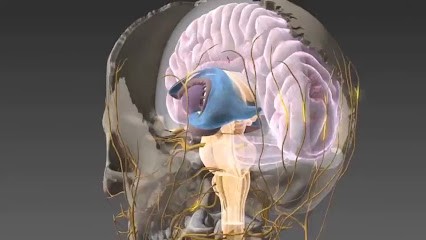 Ostéopathe Du Sport 44 | Ostéopathe Saint-Nazaire | Cédric De TOMBEUR, Ostéopathe à Saint-Nazaire