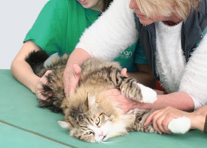 Centre De Soins Ostéo-animale ATMAN, Ostéopathe à Valbonne