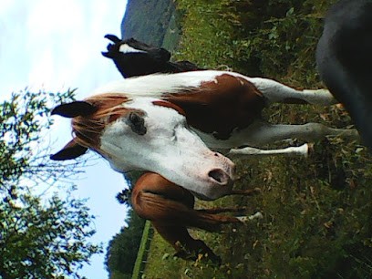 Leval Karine, Ostéopathe à Colmar