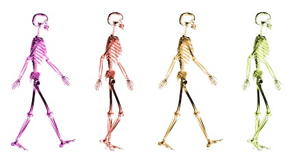 Léa Milsent Masip Ostéopathe D.O., Ostéopathe au Pont-de-Beauvoisin