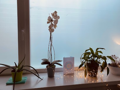 JAMES-FABRIES Camille, Ostéopathe à Castres