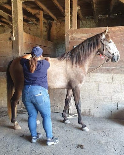 Léa Grappe - Ostéopathe Animalier OA775, Ostéopathe à Saint-Martin-d'Hères