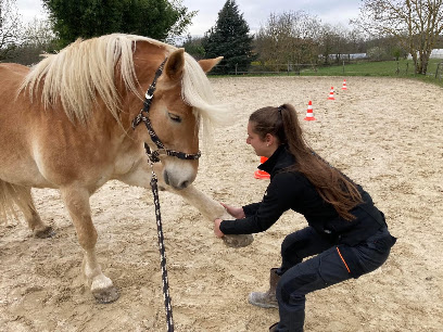 Julie Lalaimode - Ostéopathe Animalier Ostéopathe à Châtillon