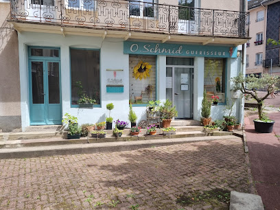 Olivier Schmid, Ostéopathe à Plombières-les-Bains