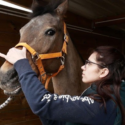 Ostéopathe Animalier - Justine Jaouen (Équin, Canin, Félin), Ostéopathe à Férolles-Attilly
