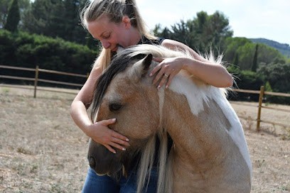 Trouchaud Maeva Ostéopathe Animalier, Ostéopathe à Comps