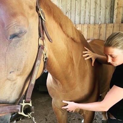 Ostéopathe Animalier - Équin, Canin, Félin, Bovin - Aliénor GIRAUDET - OA 99, Ostéopathe à Saint-Jean-de-Monts