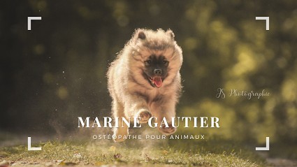 Marine Gautier - Ostéopathe Pour Animaux OA917, Ostéopathe à Reviers