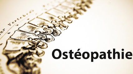 Florent MAYEUX Ostéopathe kinésithérapeute Alpilles Mouries 13, Ostéopathe à Mouriès