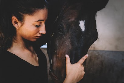 Diane CRESPI - Osteopathe Animalier, Ostéopathe à Yerres