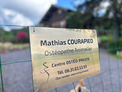 Osteopraxis, Ostéopathe à Tendon