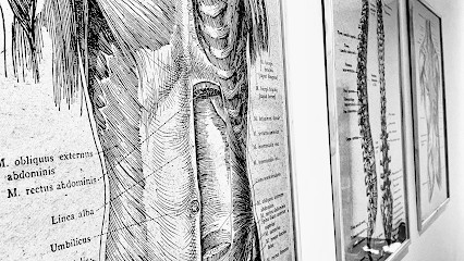 Maxime Mysliwiak Osteopathe D.O, Ostéopathe à Charmes-sur-Rhône