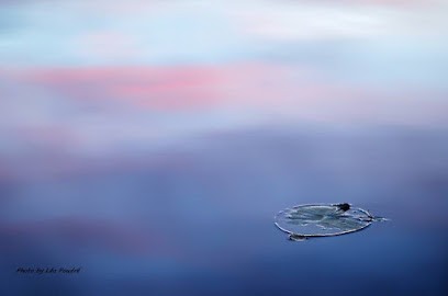 Anaïs Lepaul - Ostéopathe Rezé, Ostéopathe à Rezé