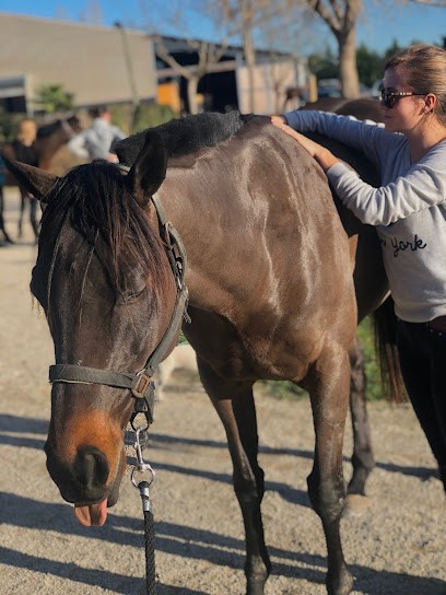 Annaëlle Fosse Ostéopathe Animalier, Ostéopathe à Rognac