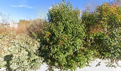 Faure Sylvie, Ostéopathe à Venelles