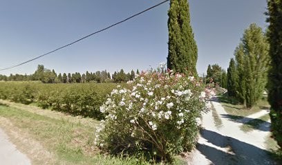 Mercier Sylvain, Ostéopathe à Saint-Rémy-de-Provence