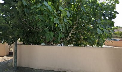 Isabelle Arnaud Ostéopathe D.O, Ostéopathe à Vinon-sur-Verdon