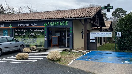 Marie SAVATON Ostéopathe D.O., Ostéopathe à Saint-Morillon