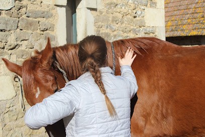 Ostéopathe Animalier Biomécaniste Marine Nief, Ostéopathe à Pouilly-en-Auxois