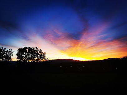 Copponex, Ostéopathe à Copponex