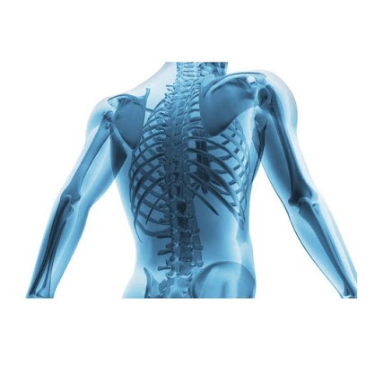 Negre Fanny, Ostéopathe à Sanary-sur-Mer