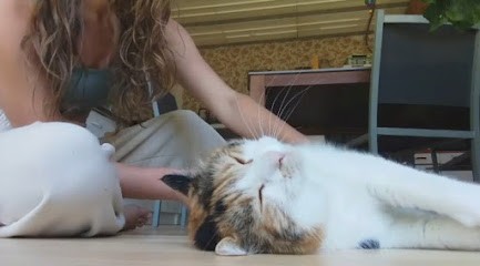 Maylie Faure - Ostéopathie Animale, Ostéopathe à Étoile-sur-Rhône