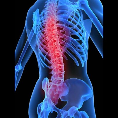 Cabinet D'ostéopathie: FOURNIER Patrice Et LAFOSSE Nicolas Périgny La Rochelle, Ostéopathe à Périgny