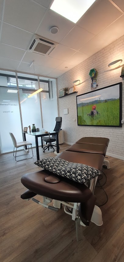 TERCERIE Adrien Ostéopathe D.O., Ostéopathe à Montigny-le-Bretonneux