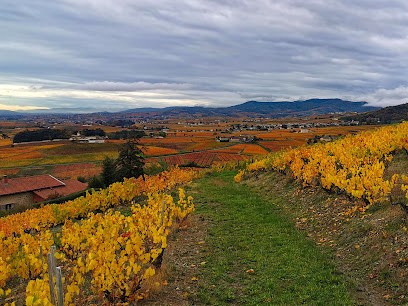 Soodts Gregory, Ostéopathe DO, Ostéopathe à Odenas