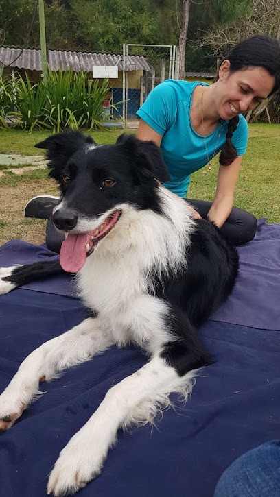 Camille Cargol Ostéopathe Animalier, Ostéopathe à Miramas