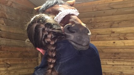Capucine Mareau - Ostéopathe Animalier (équin, Canin, Félin, NAC) Inscrite Au RNA, Ostéopathe à Recloses