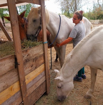 Toupet Marie ostéopathe, Ostéopathe à Oppède