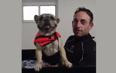 Guérin Yohan - Ostéopathe Animalier OA17, Ostéopathe à Fresnes-en-Tardenois