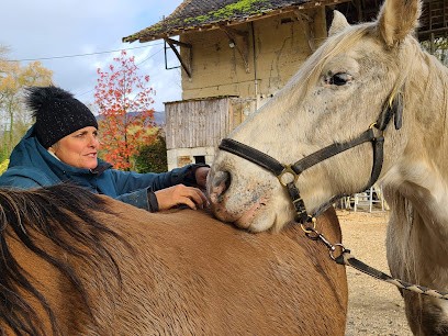 KARINE LOOTEN - Ostéopathe Animalier, Ostéopathe à Megève